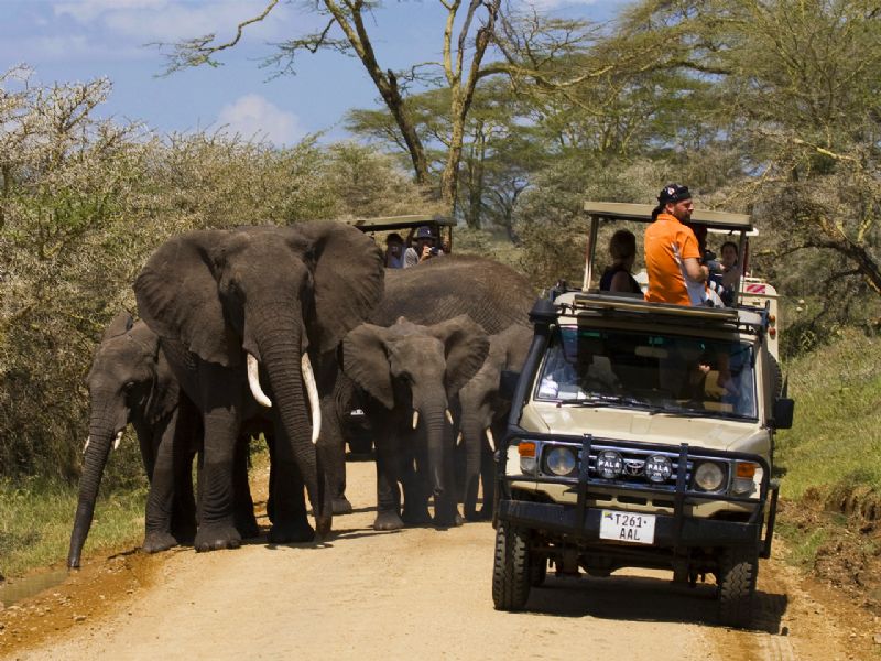 kazinga tours ltd address